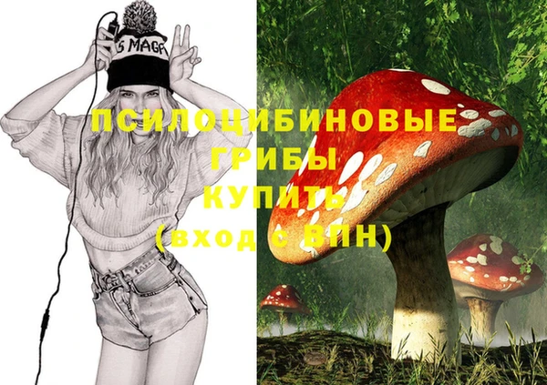 ALPHA-PVP Алексеевка