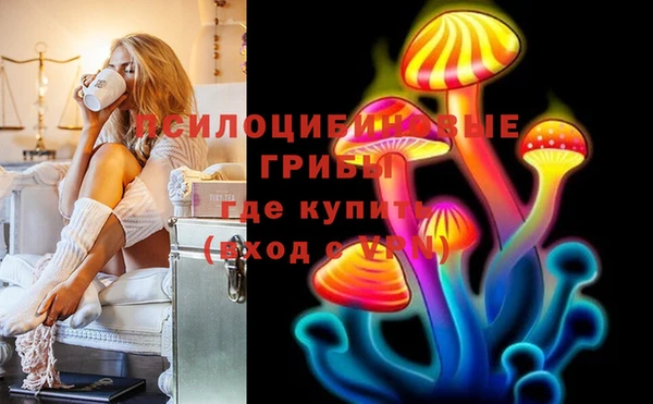 сатива Алексин
