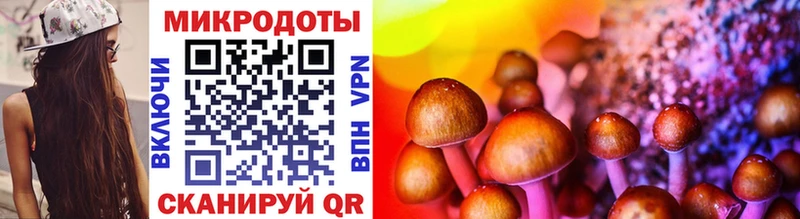 MEGA зеркало  Неман  Псилоцибиновые грибы Psilocybine cubensis 